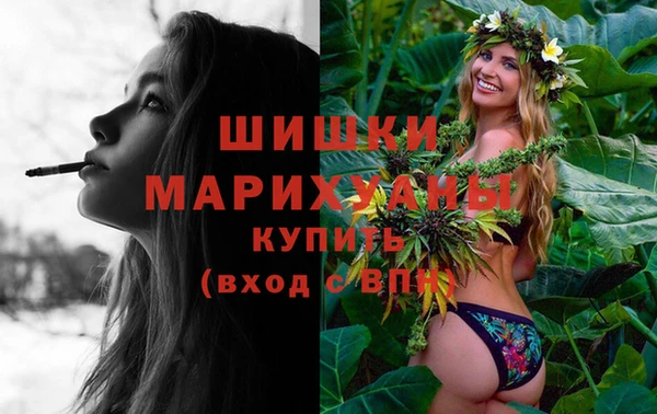 МДПВ Михайлов