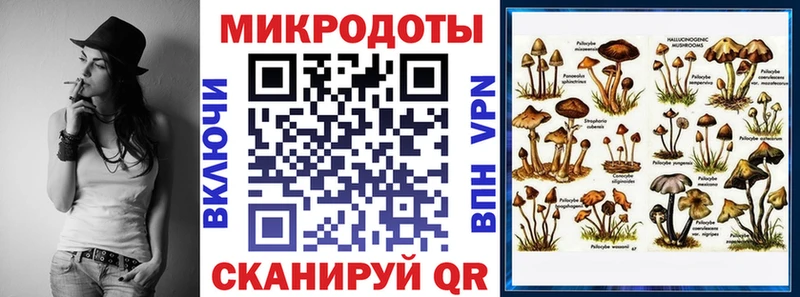 Галлюциногенные грибы Cubensis Казань