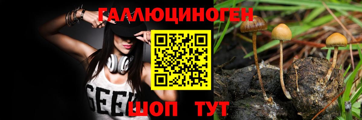 Галлюциногенные грибы Psilocybine cubensis  Вход с VPN  Казань 