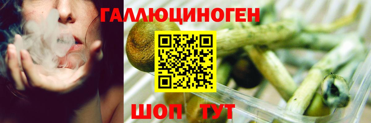 Псилоцибиновые грибы мухоморы Казань